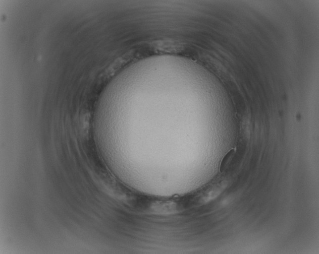 X0000081290271200702012252