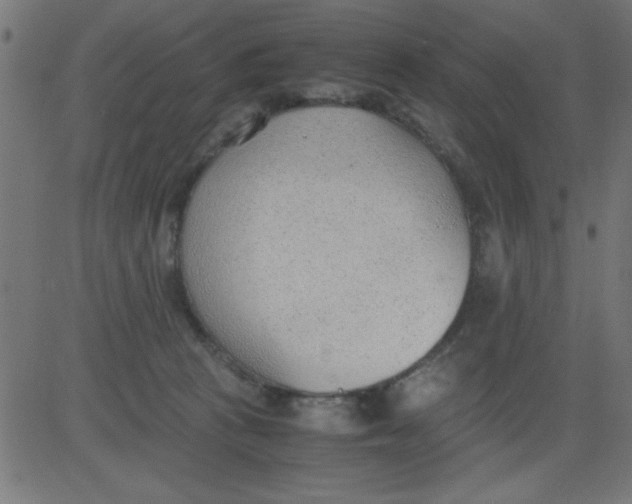 X0000081290273200702012252