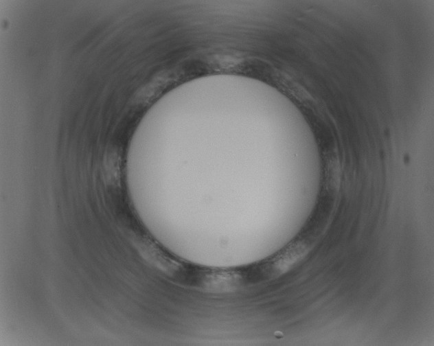 X0000081290274200702012252