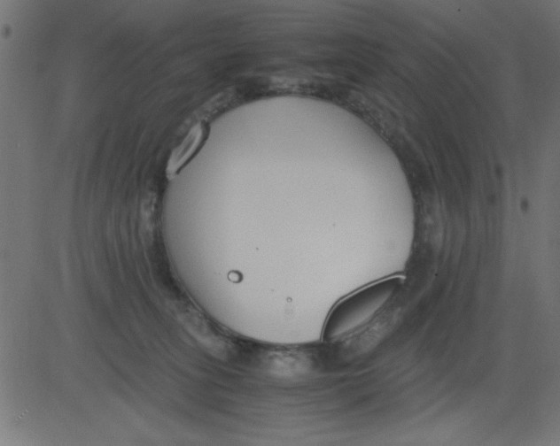 X0000081290275200702012252