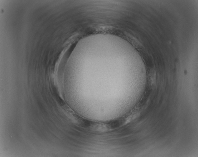 X0000081290276200702012252