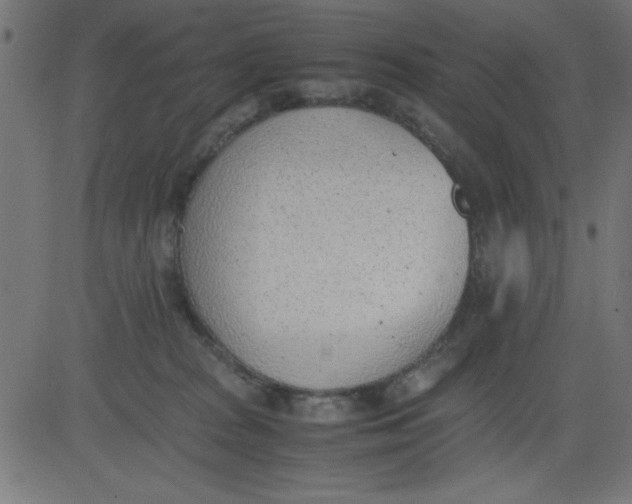 X0000081290277200702012252