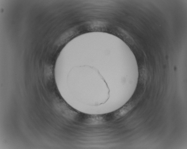 X0000081290278200702012252