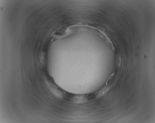 X0000081290280200702012252