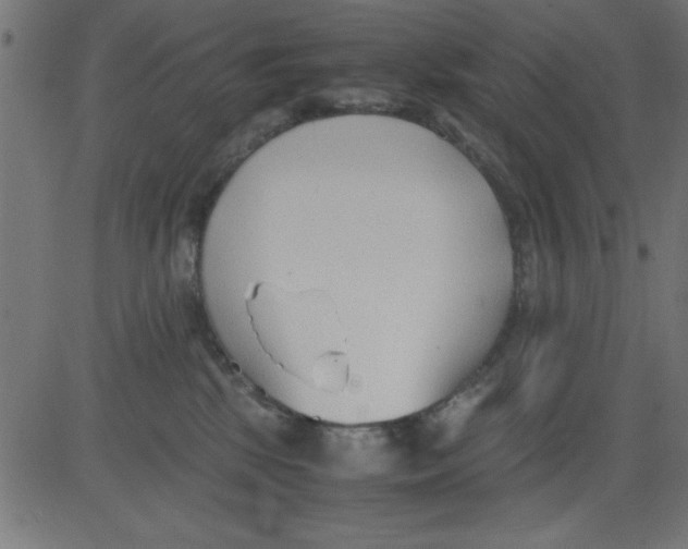 X0000081290281200702012252