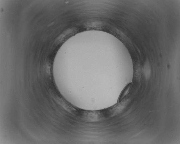 X0000081290282200702012252