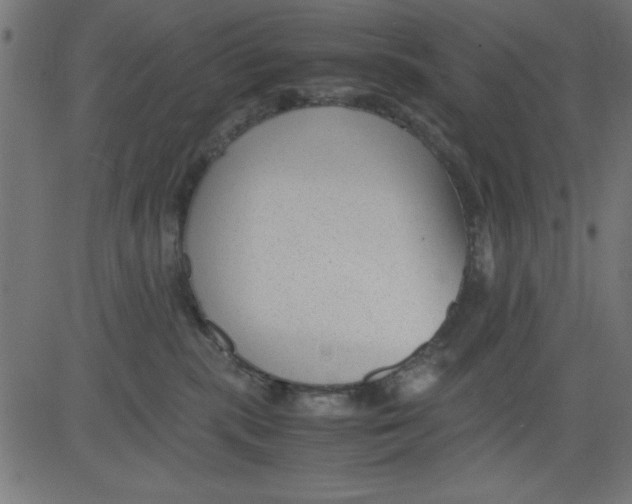 X0000081290283200702012252