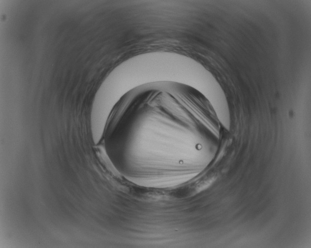 X0000081290284200702012252