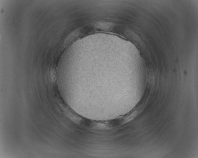 X0000081290285200702012252