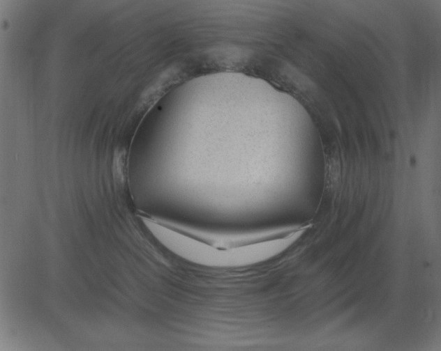 X0000081290286200702012252