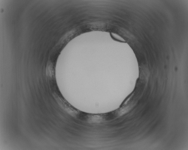 X0000081290287200702012252