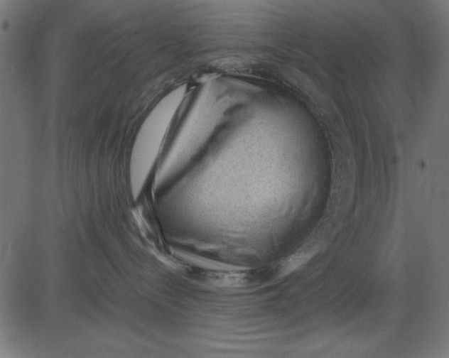 X0000081290288200702012252