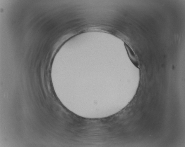 X0000081290289200702012251