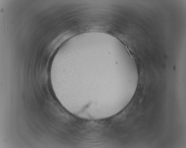 X0000081290290200702012251