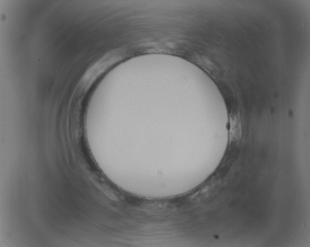 X0000081290291200702012251