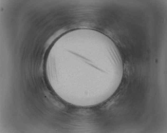 X0000081290292200702012251