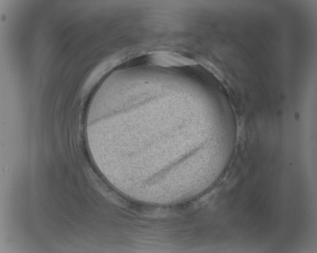 X0000081290293200702012251