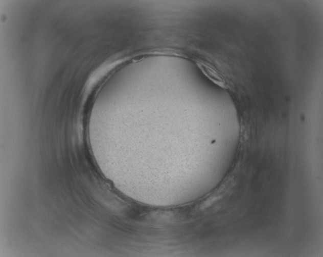 X0000081290294200702012251