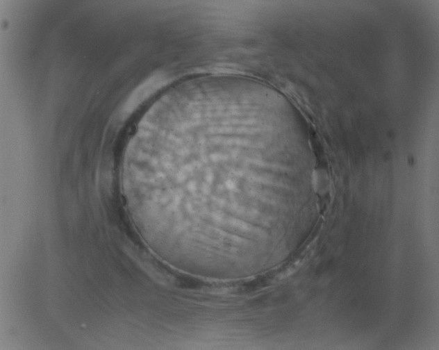 X0000081290295200702012251