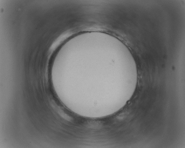 X0000081290296200702012251