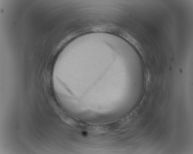 X0000081290297200702012251