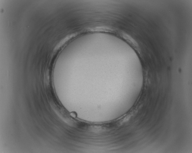 X0000081290298200702012251