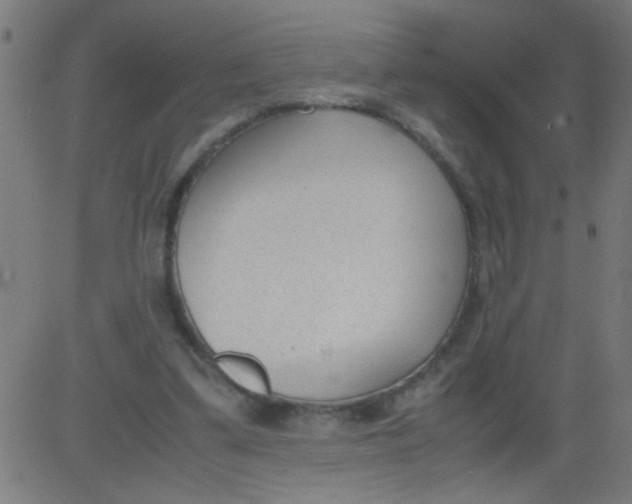 X0000081290299200702012251