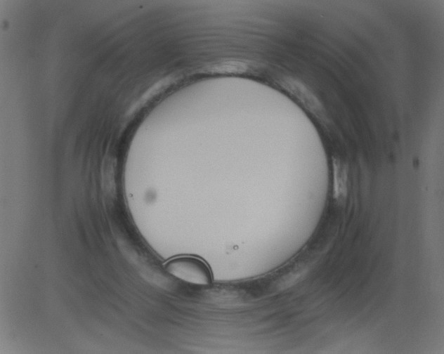 X0000081290300200702012251