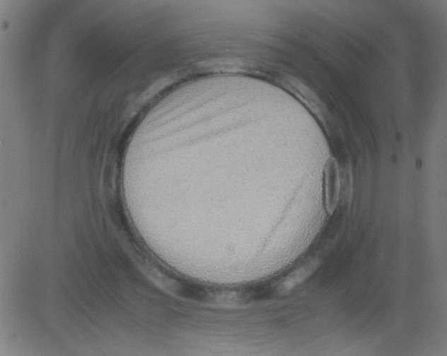 X0000081290301200702012251