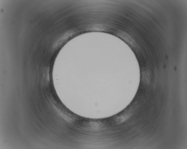 X0000081290302200702012251