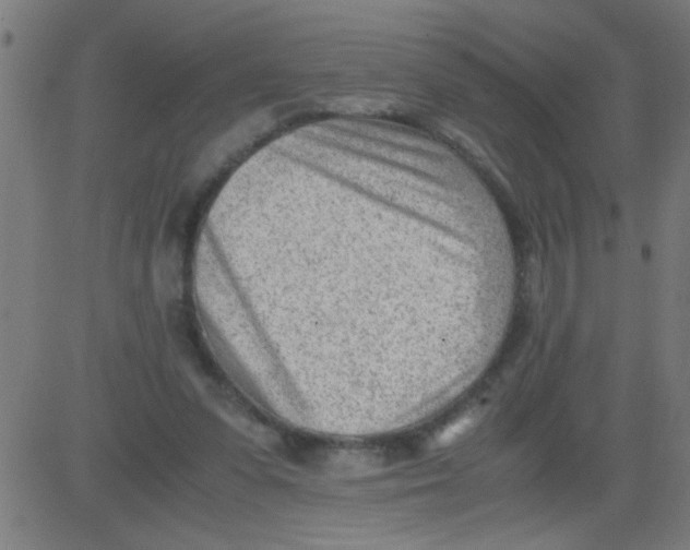 X0000081290303200702012251