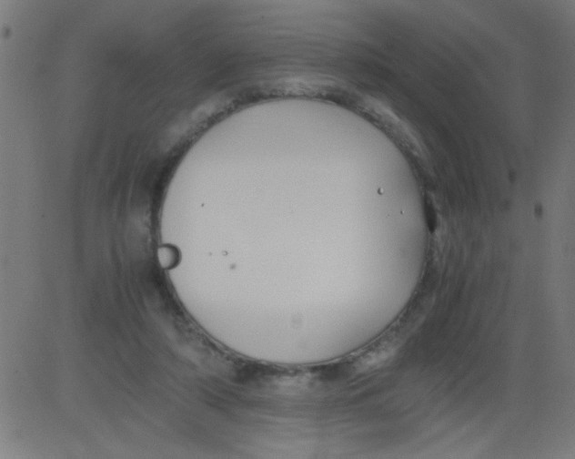 X0000081290306200702012251