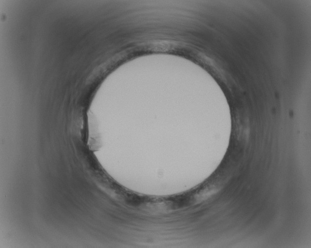 X0000081290307200702012251