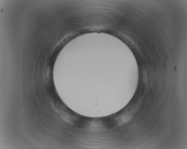 X0000081290308200702012251