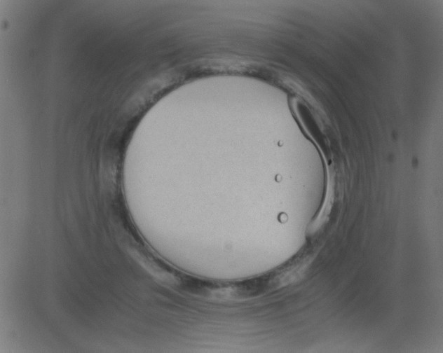 X0000081290309200702012251