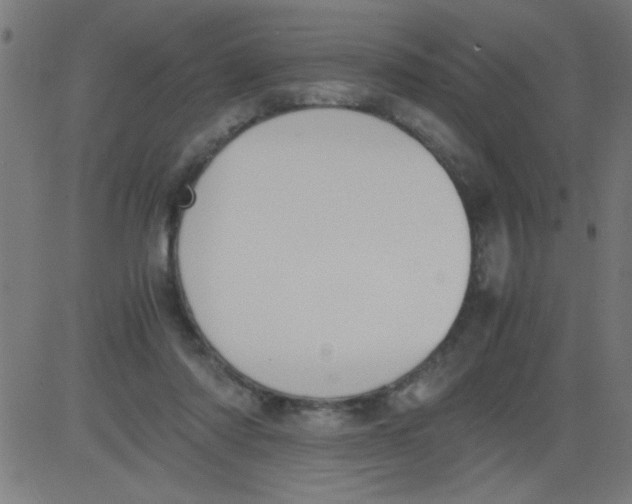 X0000081290310200702012251