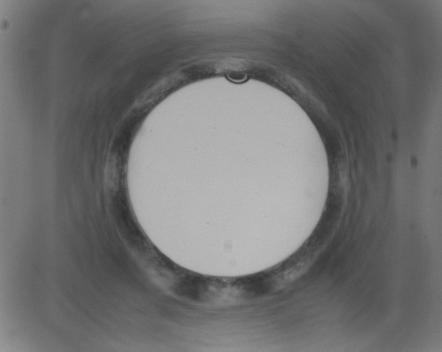 X0000081290311200702012251