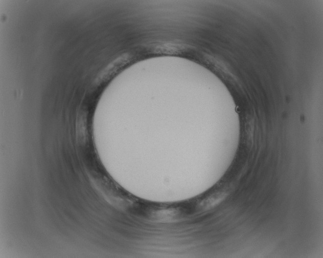 X0000081290312200702012251