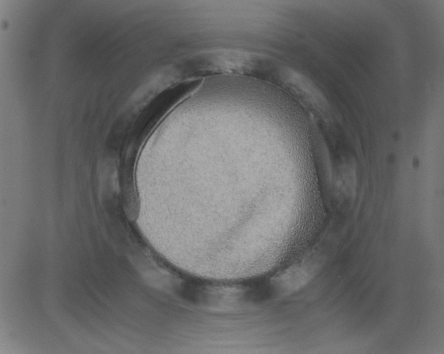 X0000081290313200702012251