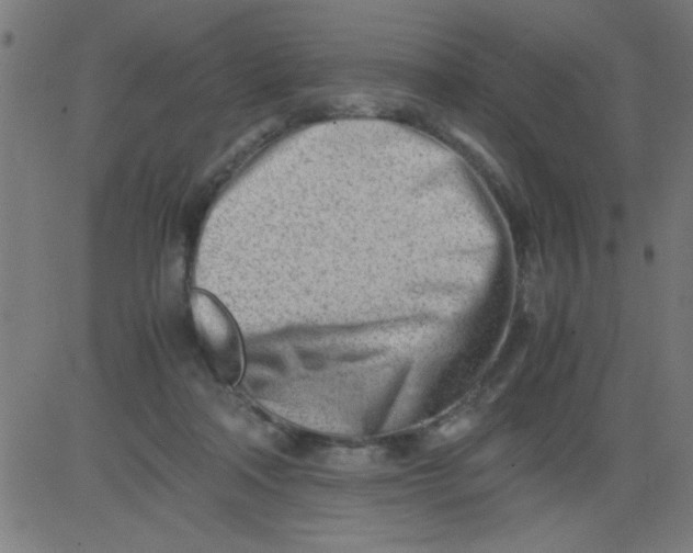 X0000081290314200702012251