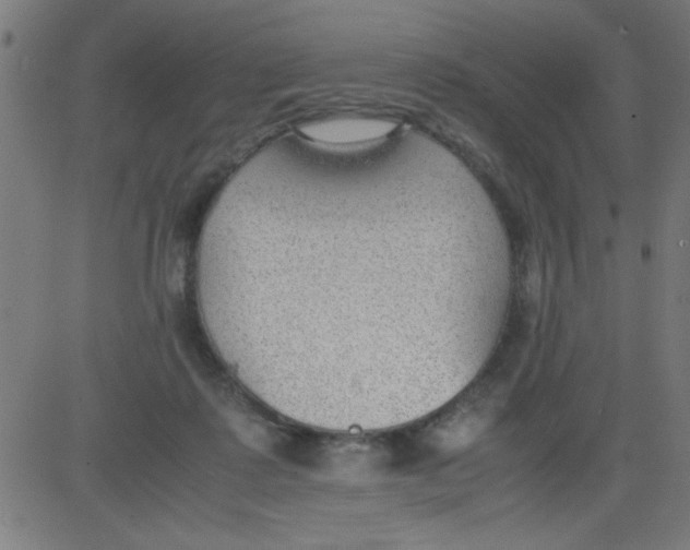 X0000081290315200702012251