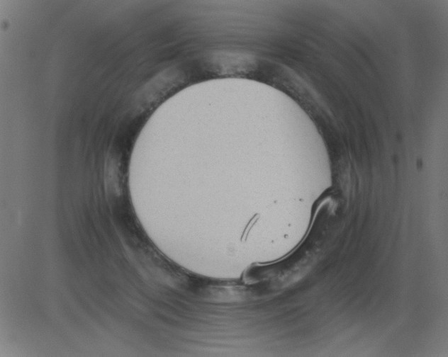 X0000081290316200702012251