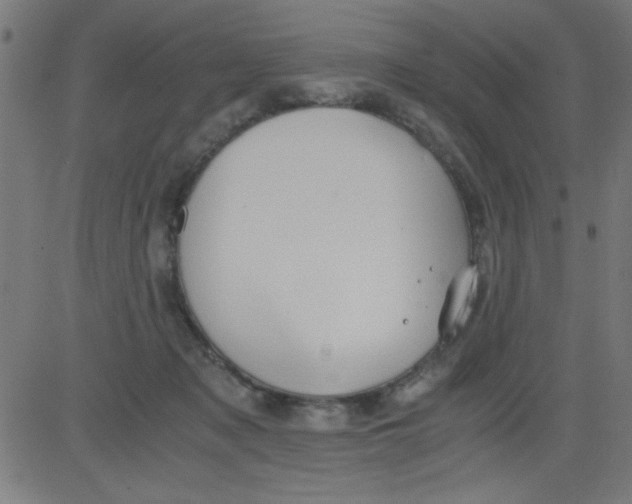 X0000081290317200702012251