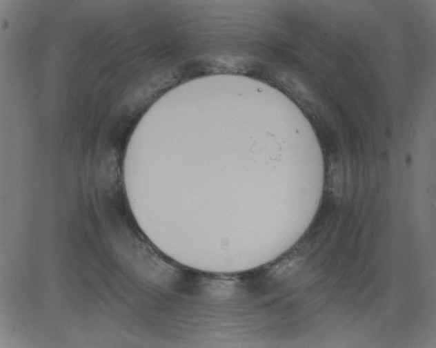 X0000081290318200702012251