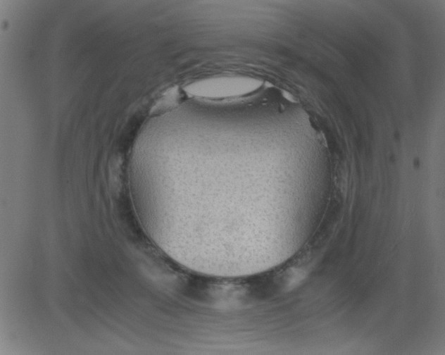 X0000081290319200702012251