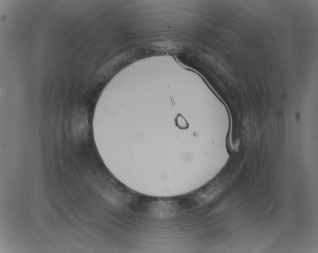 X0000081290320200702012251