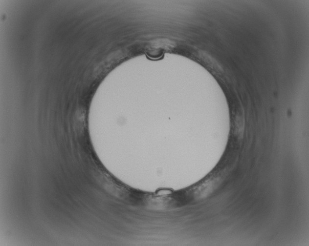 X0000081290321200702012251