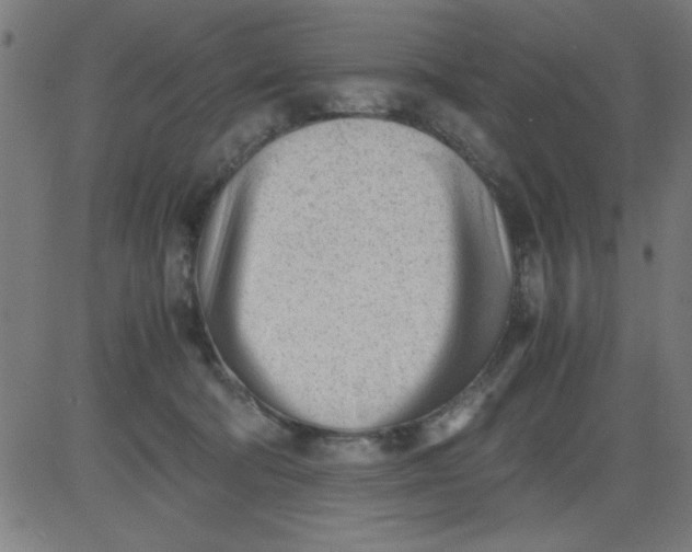 X0000081290322200702012250