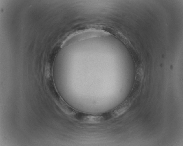 X0000081290323200702012250