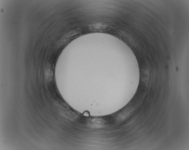 X0000081290324200702012250